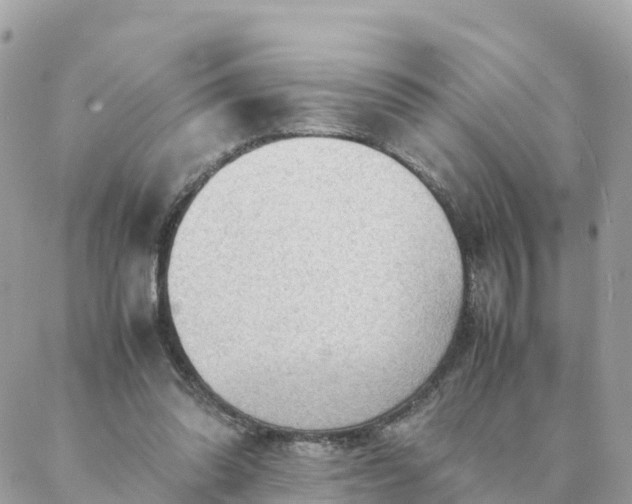 X0000087310302200705041656