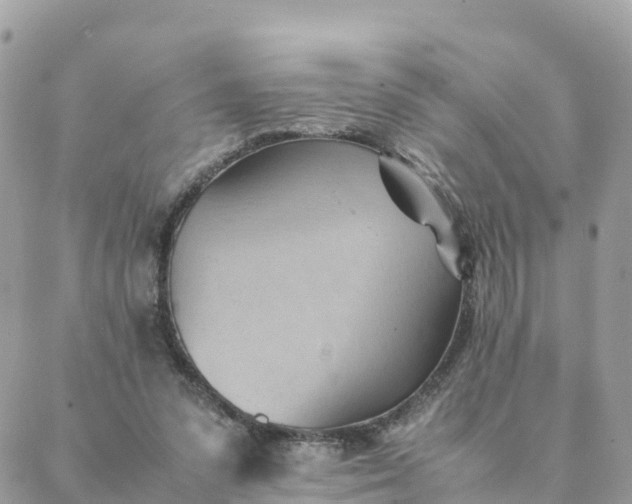 X0000087310303200705041656