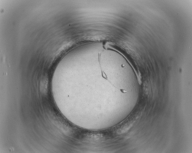 X0000087310304200705041656