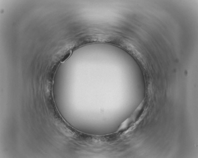 X0000087310305200705041656