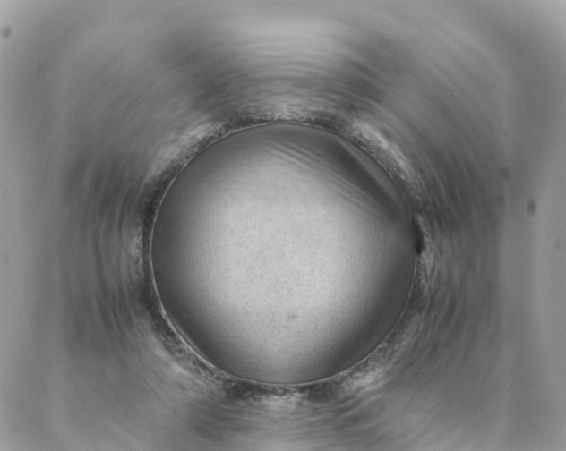 X0000087310306200705041656