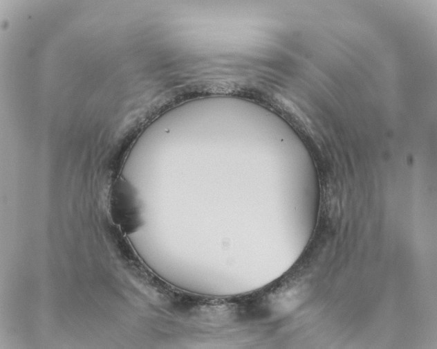 X0000087310307200705041656