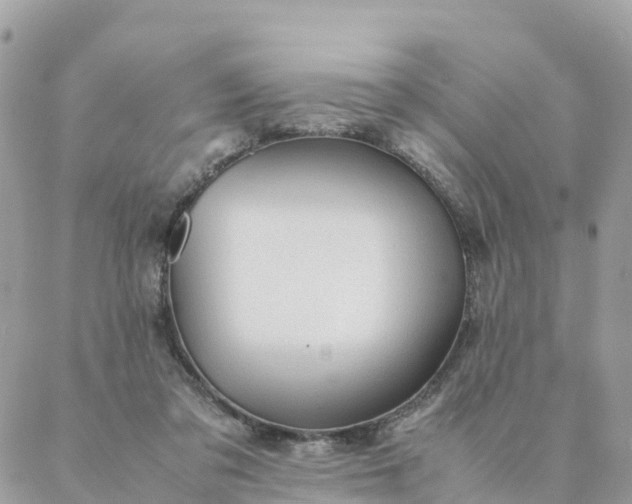 X0000087310309200705041656