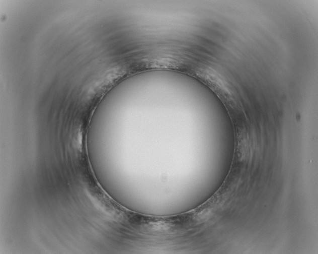 X0000087310310200705041656