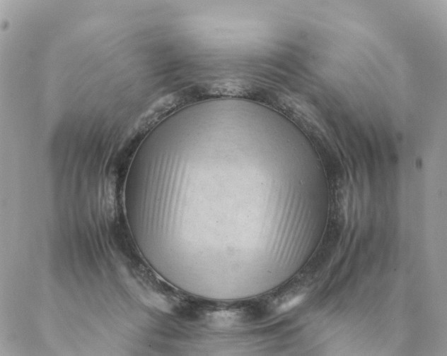 X0000087310312200705041656