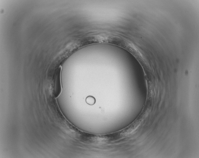 X0000087310313200705041656