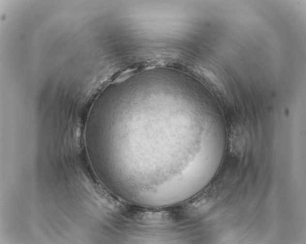 X0000087310314200705041656