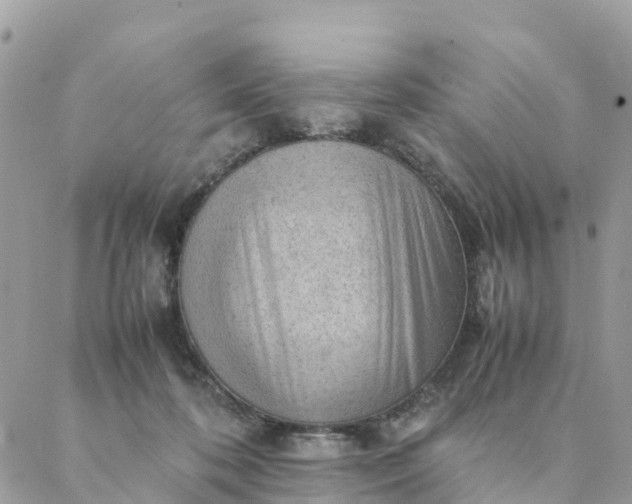 X0000087310316200705041656