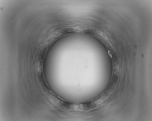 X0000087310317200705041656