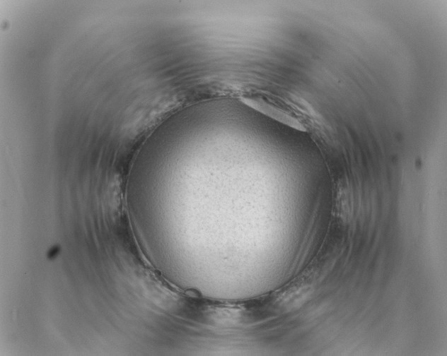 X0000087310318200705041656