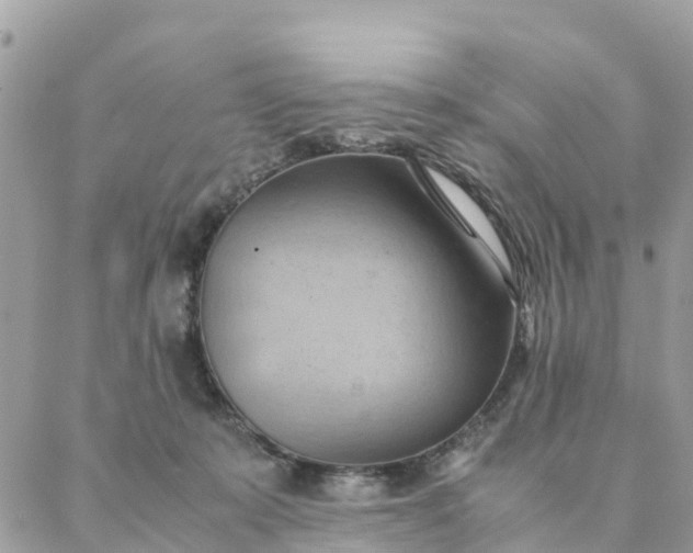 X0000087310319200705041656