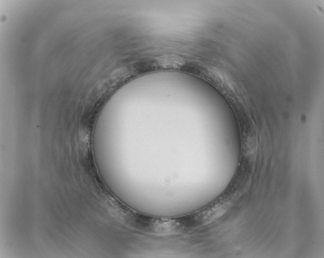 X0000087310321200705041656