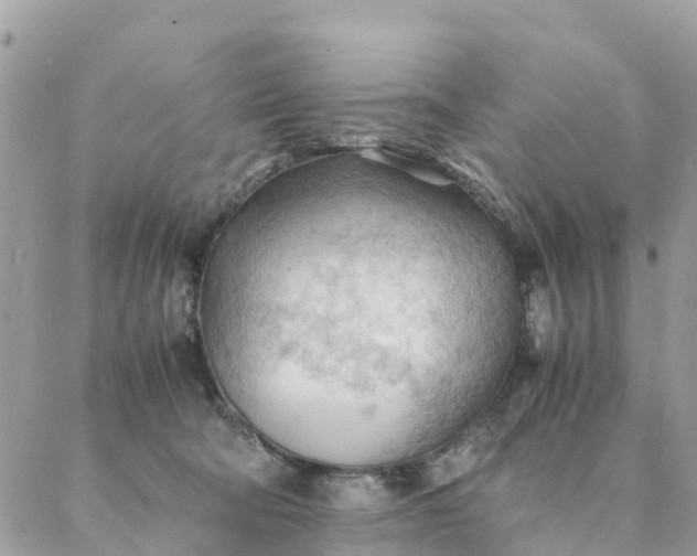 X0000087310322200705041656