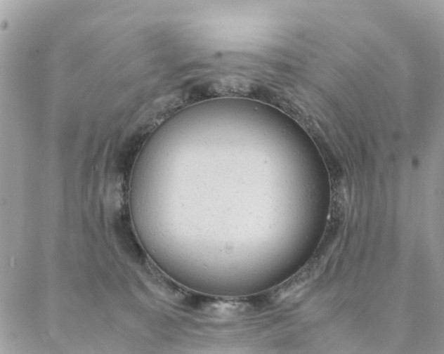 X0000087310323200705041656