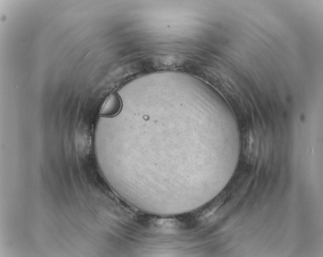 X0000087310324200705041656