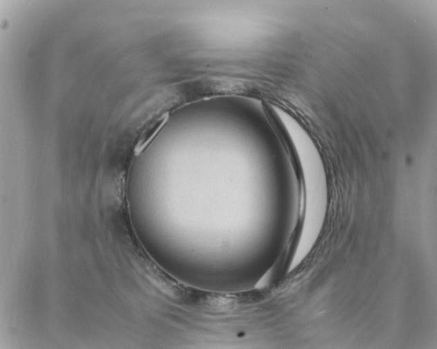 X0000087310325200705041656