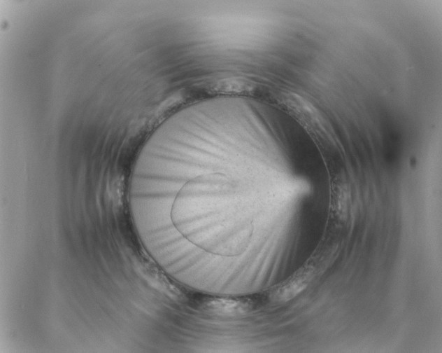 X0000087310326200705041656