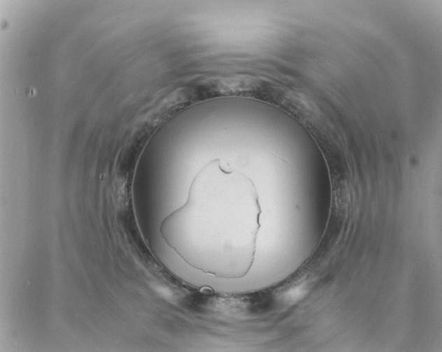 X0000087310327200705041656