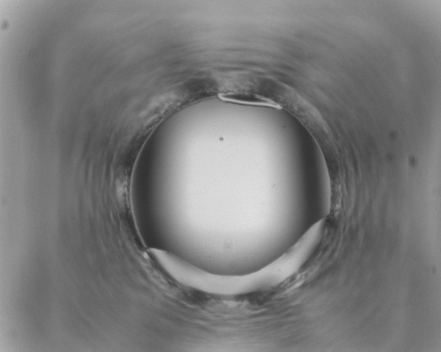 X0000087310329200705041656