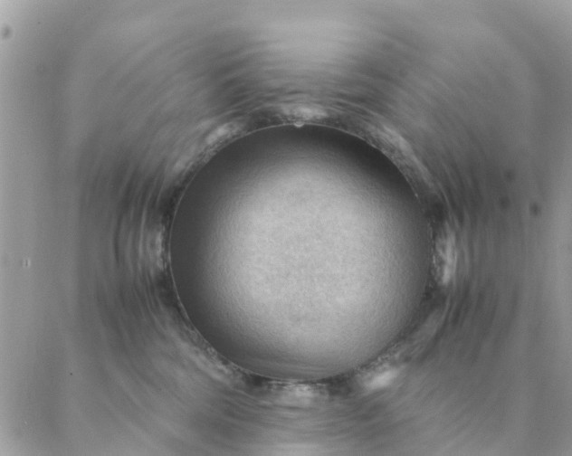 X0000087310330200705041656