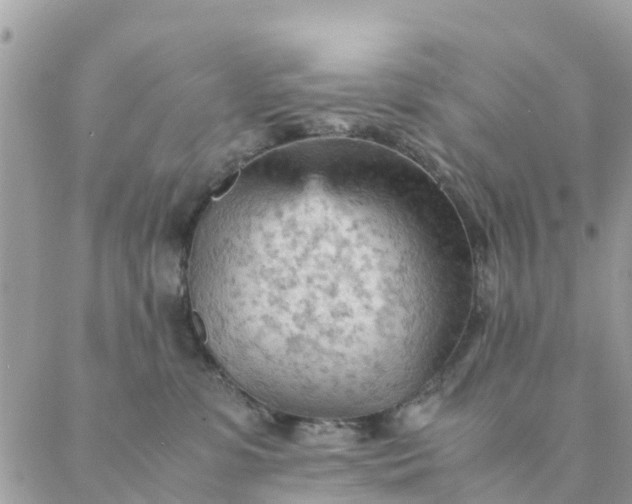 X0000087310331200705041656