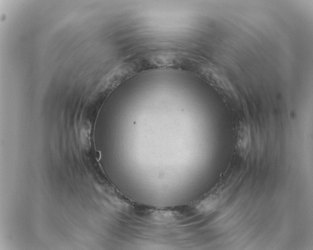 X0000087310332200705041656