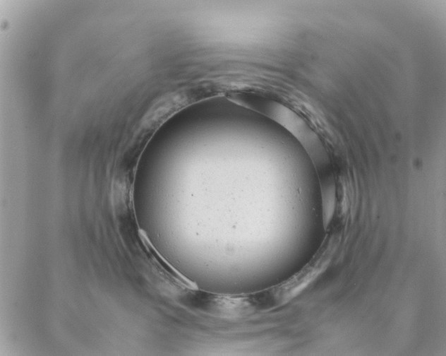 X0000087310333200705041655