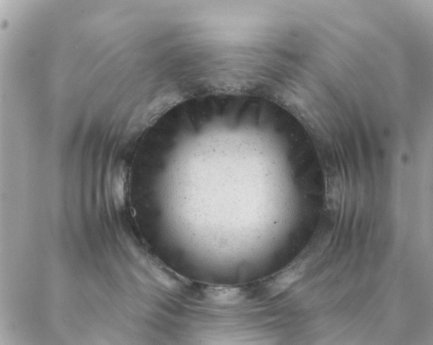 X0000087310334200705041655