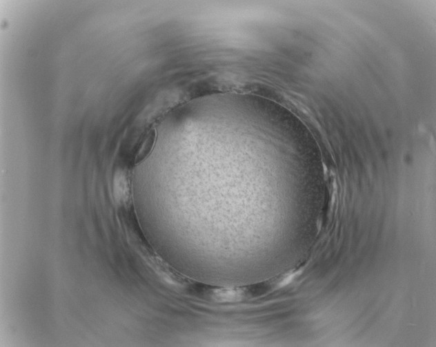 X0000087310335200705041655