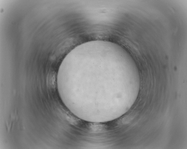 X0000087310336200705041655