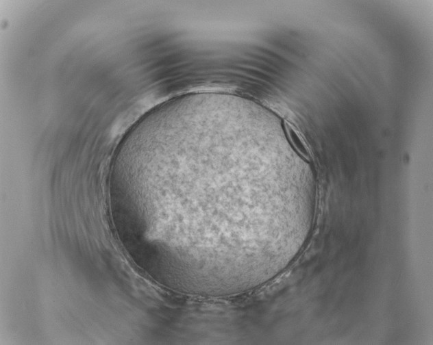 X0000087310337200705041655