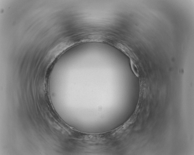 X0000087310338200705041655