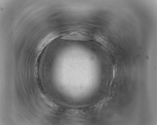 X0000087310339200705041655