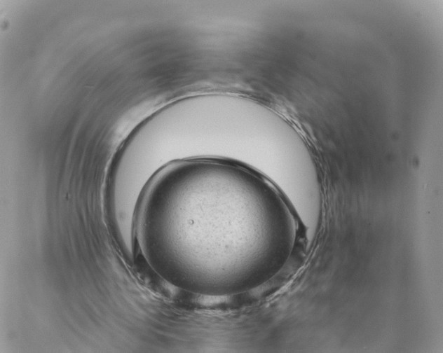 X0000087310340200705041655