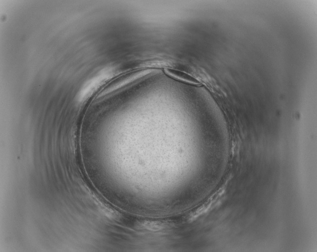 X0000087310341200705041655