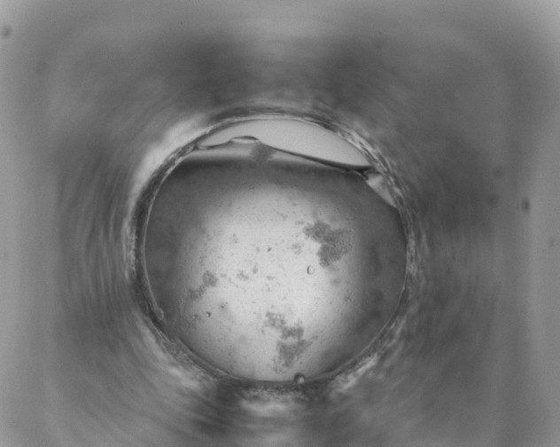 X0000087310343200705041655