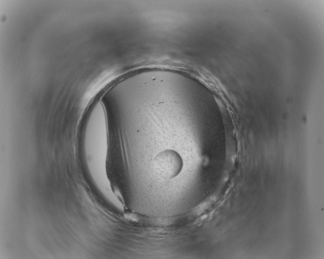 X0000087310344200705041655