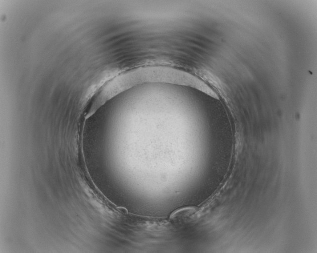 X0000087310345200705041655