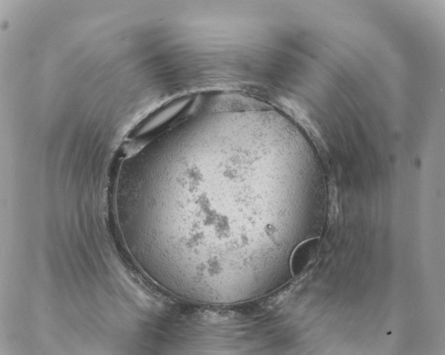 X0000087310346200705041655