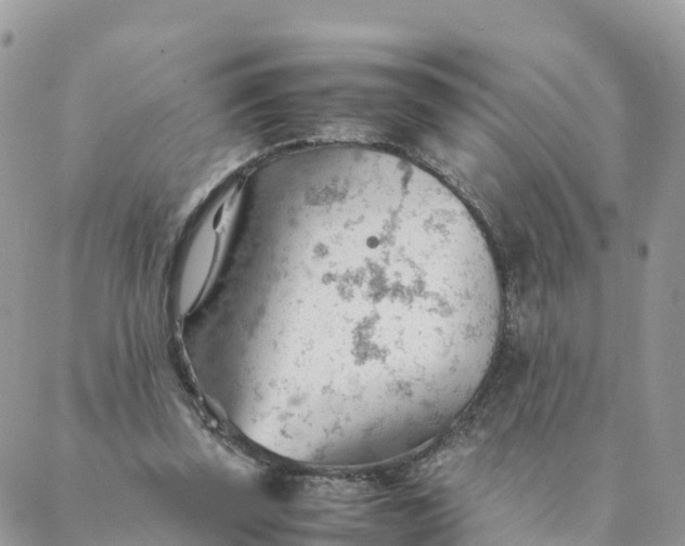 X0000087310347200705041655