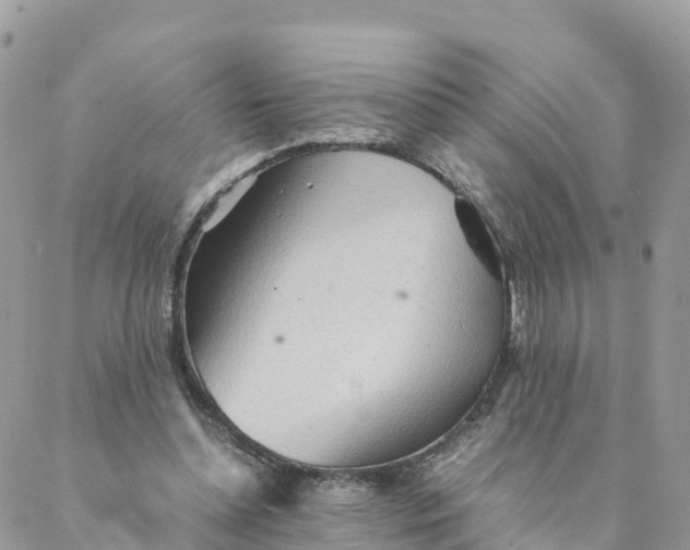 X0000087310348200705041655