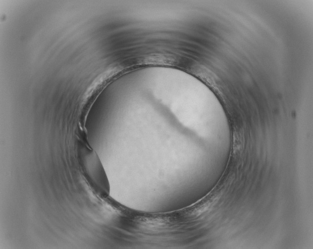 X0000087310349200705041655