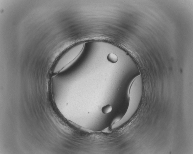 X0000087310350200705041655