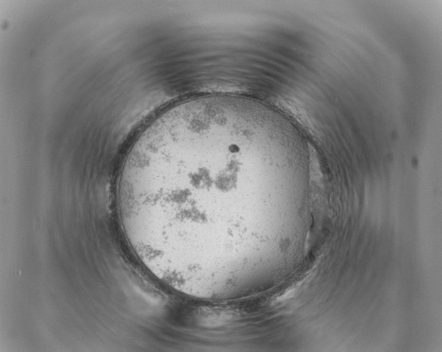 X0000087310351200705041655