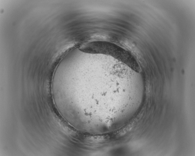 X0000087310353200705041655