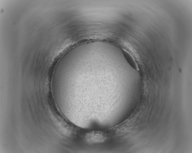 X0000087310354200705041655