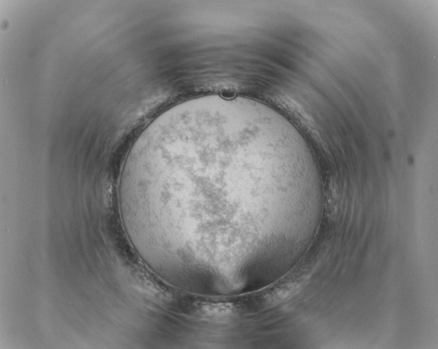 X0000087310355200705041655