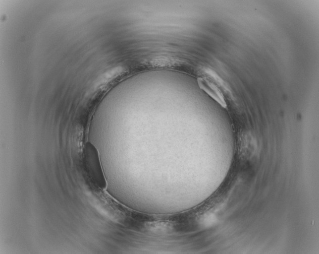 X0000087310356200705041655