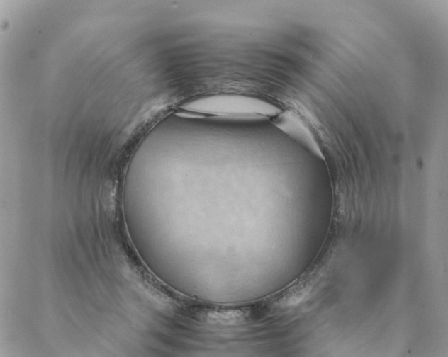 X0000087310357200705041655