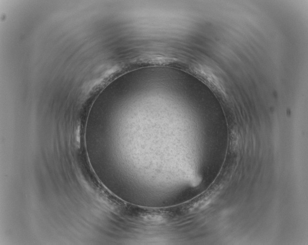 X0000087310358200705041655